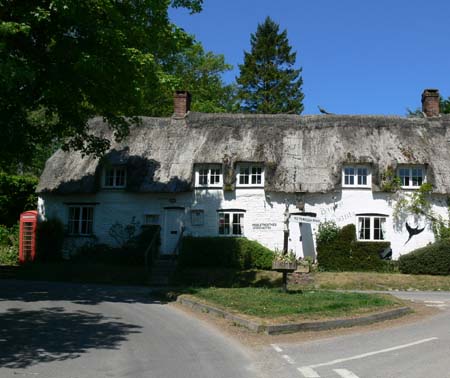  Plush - Brace of Pheasants - Nicholas Blake